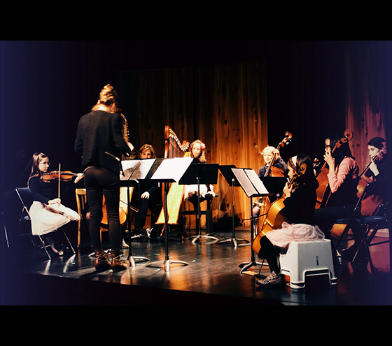 Photo de l'orchestre à cordes le 6 janvier 2017