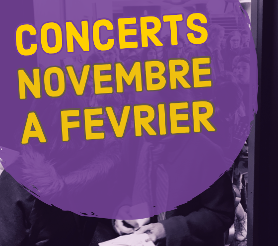 Concerts de l'école de musique d'Ecully de novembre à février